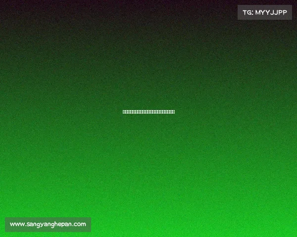 德甲前腰核心球员的技战术分析与发展趋势探讨 德甲前腰核心球员的技战术分析与发展趋势探讨