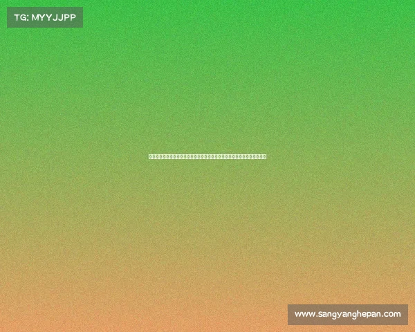 滕哈赫执教勒沃库森短暂失利的全景分析：从训练方法到转会决策的全面崩溃