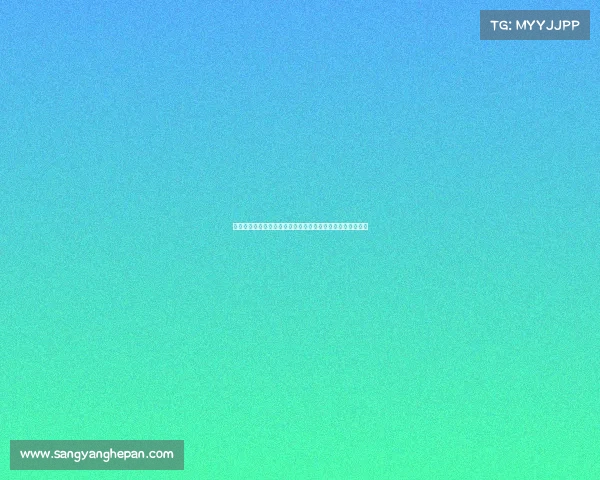 谢什科与曼联球员交流后认为其适合阿莫林战术体系核心角色