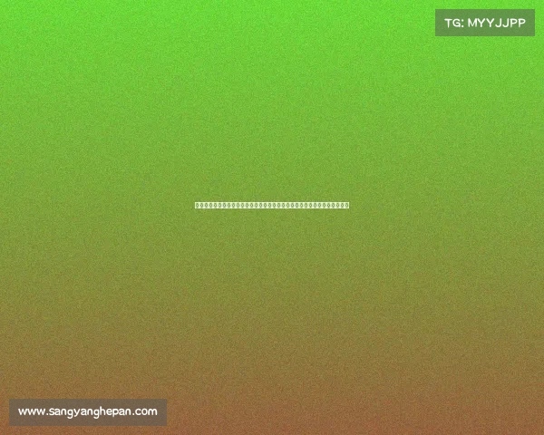 滕哈赫执教勒沃库森短暂失利的全景分析:从训练方法到转会决策的全面崩溃 滕哈赫执教勒沃库森短暂失利的全景分析:从训练方法到转会决策的全面崩溃