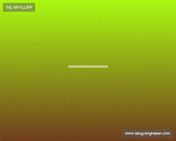 以德甲顶级防线为核心解析如何提升球队防守水平与战术布局