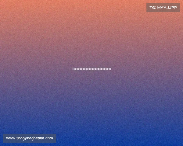 电讯报:热刺引进帕利尼亚优于吉布斯怀特更能提升实力 电讯报:热刺引进帕利尼亚优于吉布斯怀特更能提升实力