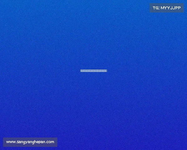 德甲创始队的辉煌历史与发展脉络探究