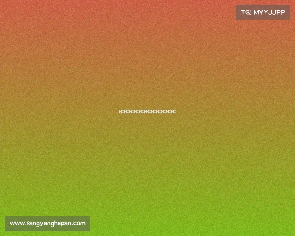 德甲联赛技术统计深度分析：进攻防守数据全面解读