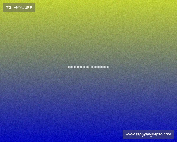 费迪南德赞姆伯莫态度严谨敬业 相信他能为曼联带来积极影响